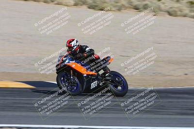 media/Feb-04-2024-SoCal Trackdays (Sun) [[91d6515b1d]]/4-Bowl Backside (11am)/